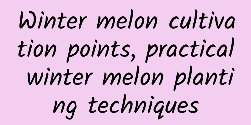 Winter melon cultivation points, practical winter melon planting techniques