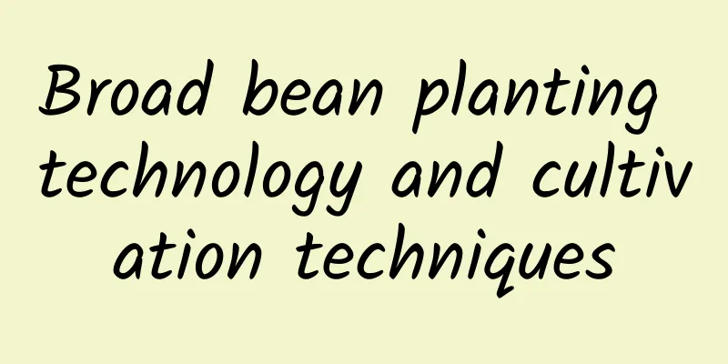 Broad bean planting technology and cultivation techniques