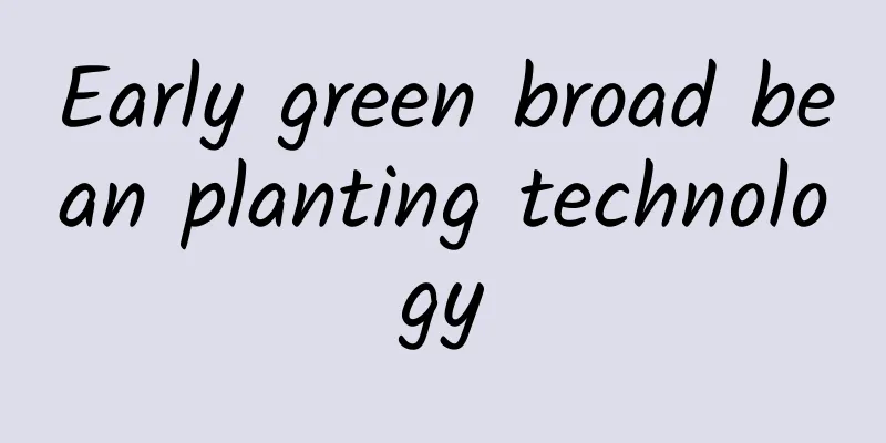 Early green broad bean planting technology