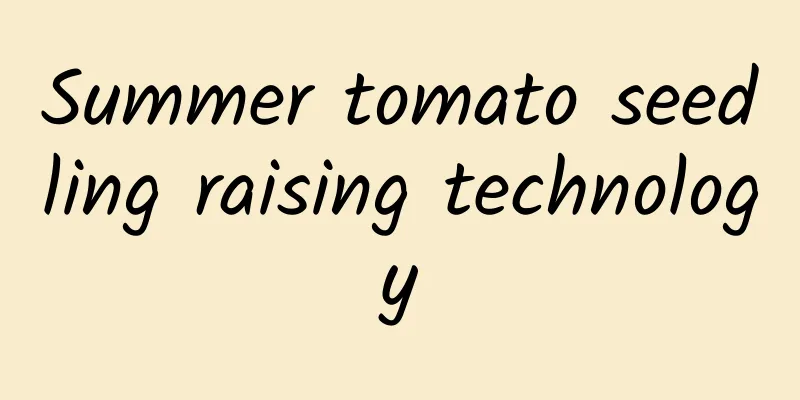 Summer tomato seedling raising technology