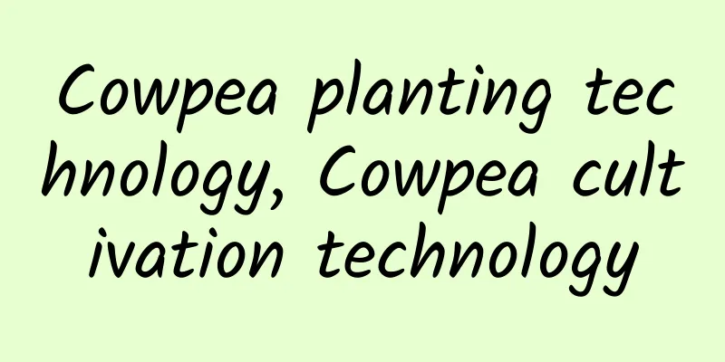 Cowpea planting technology, Cowpea cultivation technology