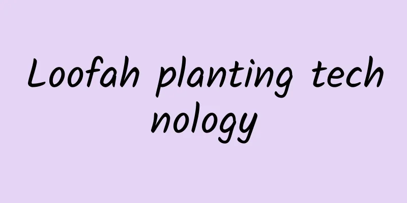 Loofah planting technology