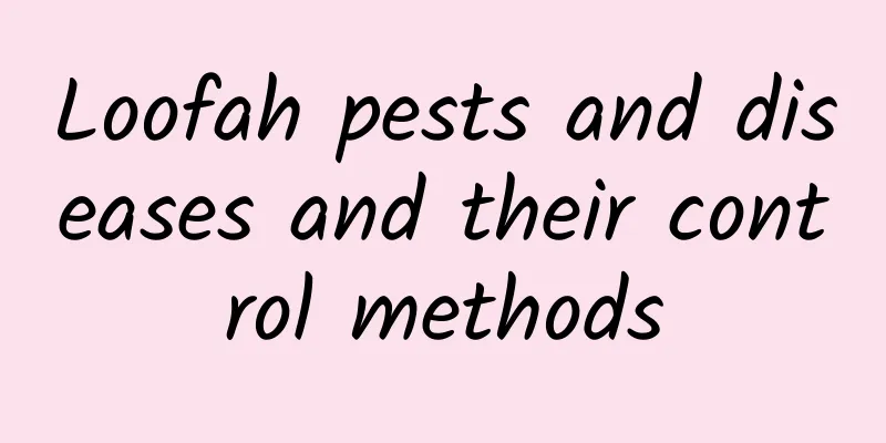 Loofah pests and diseases and their control methods