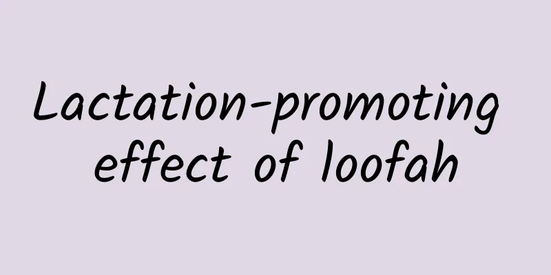 Lactation-promoting effect of loofah