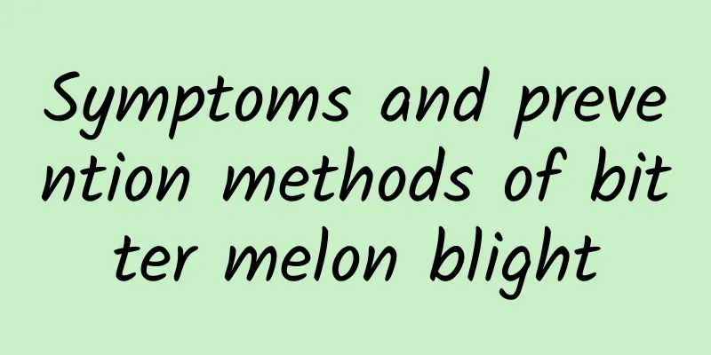 Symptoms and prevention methods of bitter melon blight