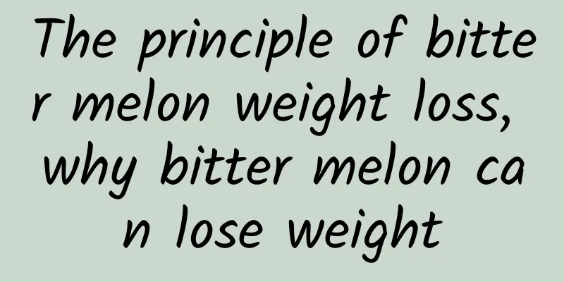 The principle of bitter melon weight loss, why bitter melon can lose weight