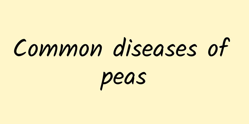 Common diseases of peas