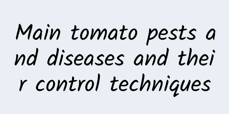 Main tomato pests and diseases and their control techniques