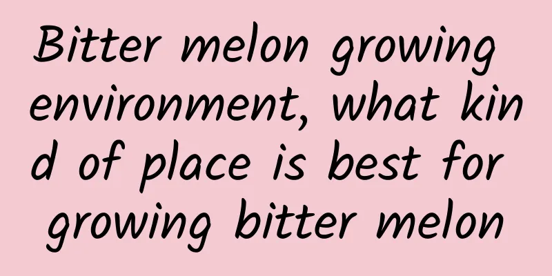 Bitter melon growing environment, what kind of place is best for growing bitter melon