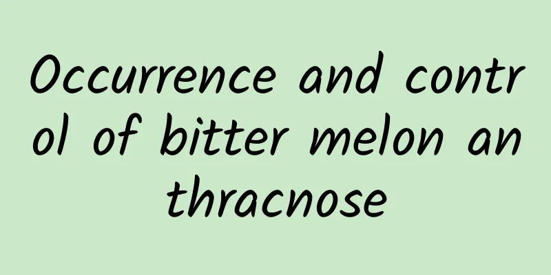 Occurrence and control of bitter melon anthracnose