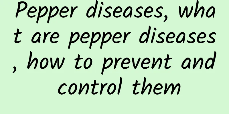 Pepper diseases, what are pepper diseases, how to prevent and control them