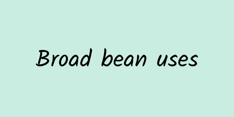 Broad bean uses