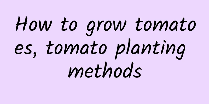 How to grow tomatoes, tomato planting methods