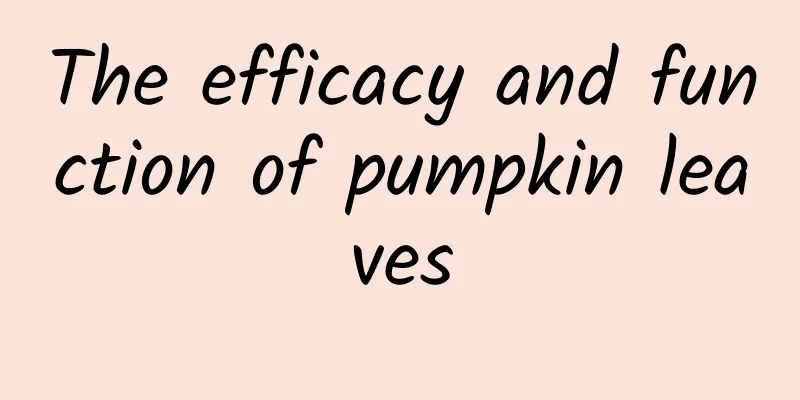 The efficacy and function of pumpkin leaves