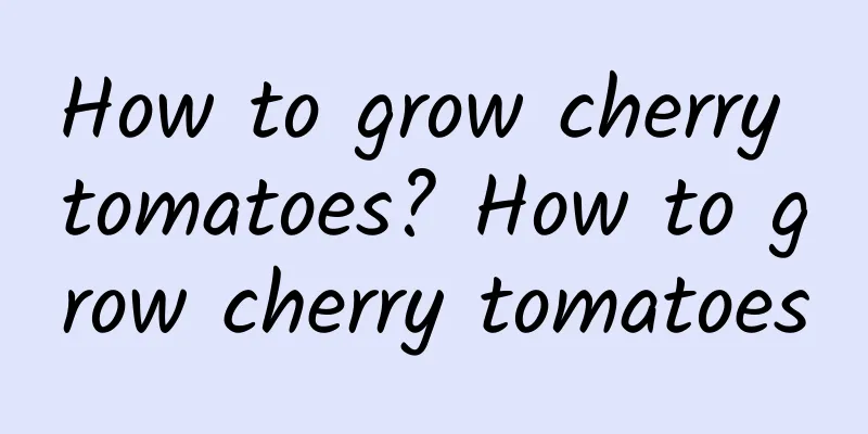 How to grow cherry tomatoes? How to grow cherry tomatoes