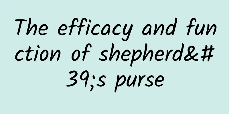 The efficacy and function of shepherd's purse