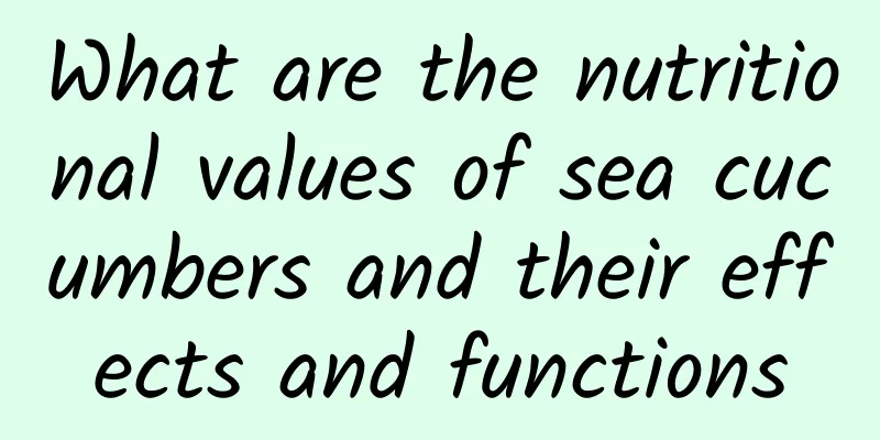 What are the nutritional values ​​of sea cucumbers and their effects and functions