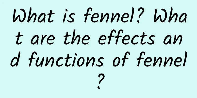 What is fennel? What are the effects and functions of fennel?