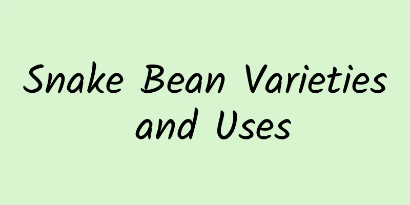 Snake Bean Varieties and Uses