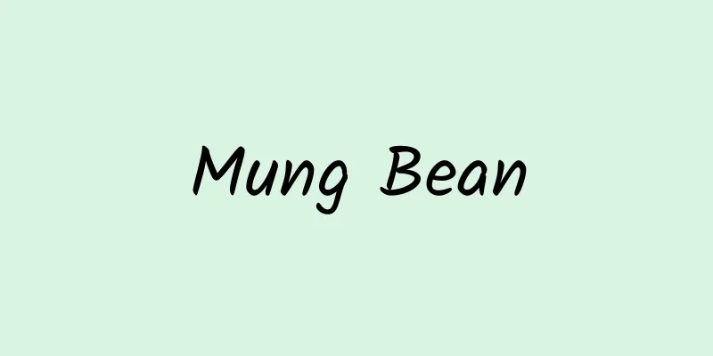 Mung Bean