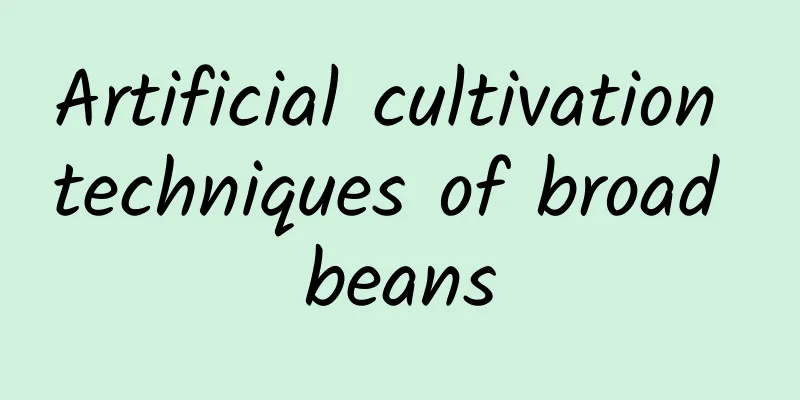 Artificial cultivation techniques of broad beans