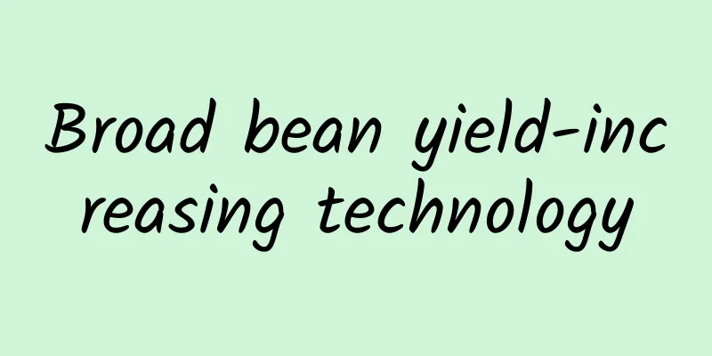 Broad bean yield-increasing technology