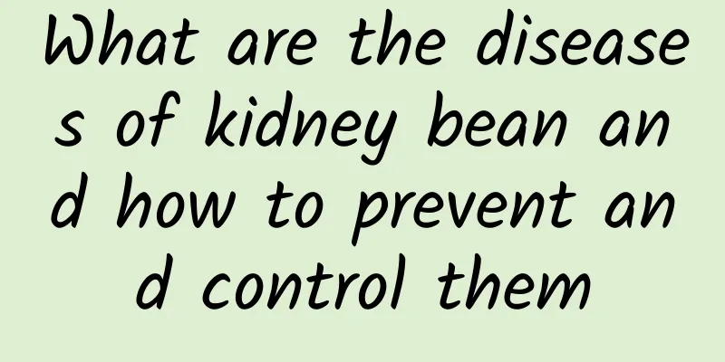 What are the diseases of kidney bean and how to prevent and control them