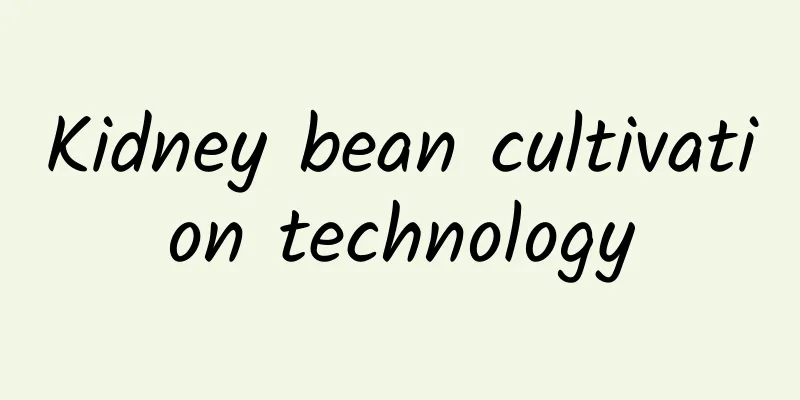 Kidney bean cultivation technology