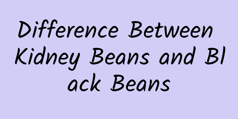 Difference Between Kidney Beans and Black Beans