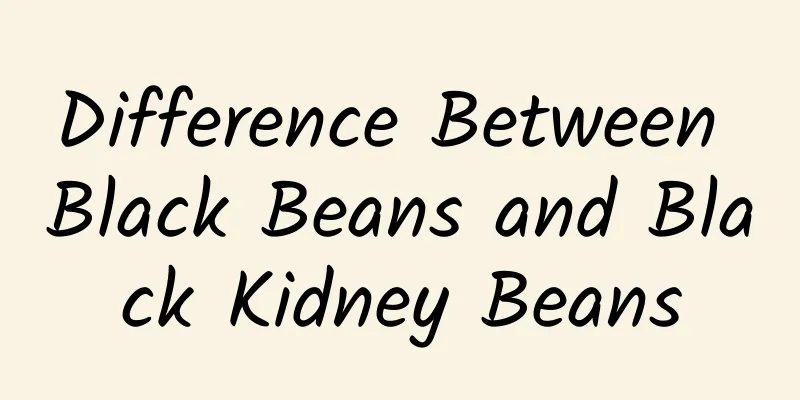 Difference Between Black Beans and Black Kidney Beans