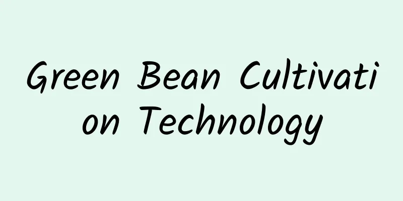 Green Bean Cultivation Technology