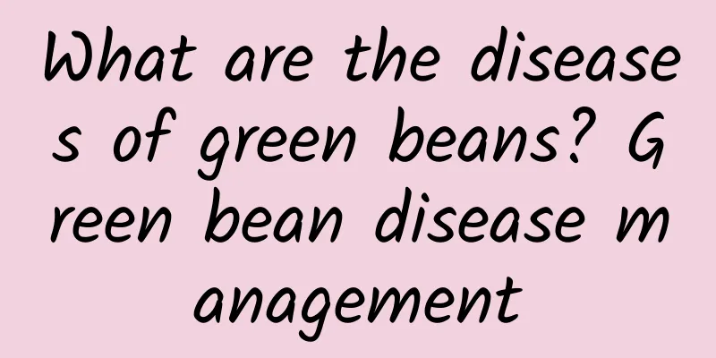 What are the diseases of green beans? Green bean disease management