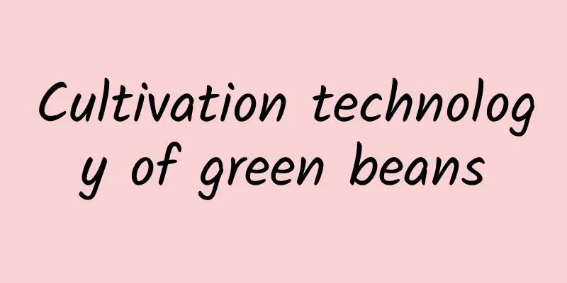 Cultivation technology of green beans