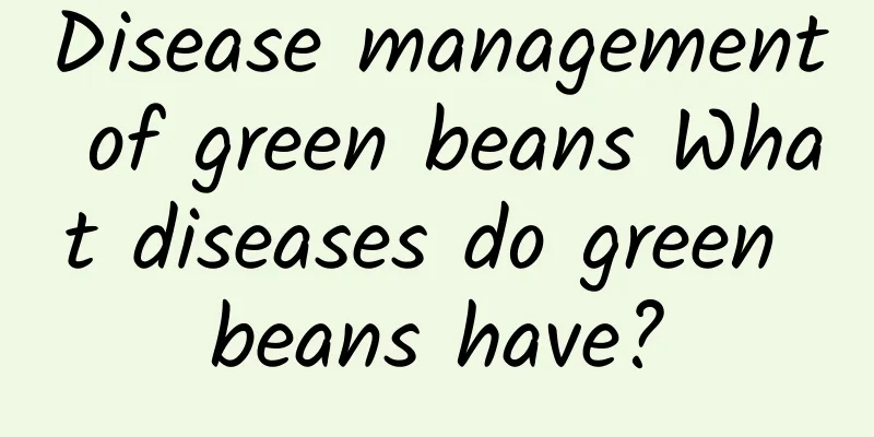 Disease management of green beans What diseases do green beans have?