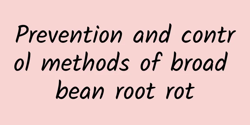 Prevention and control methods of broad bean root rot