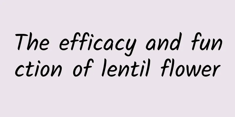 The efficacy and function of lentil flower