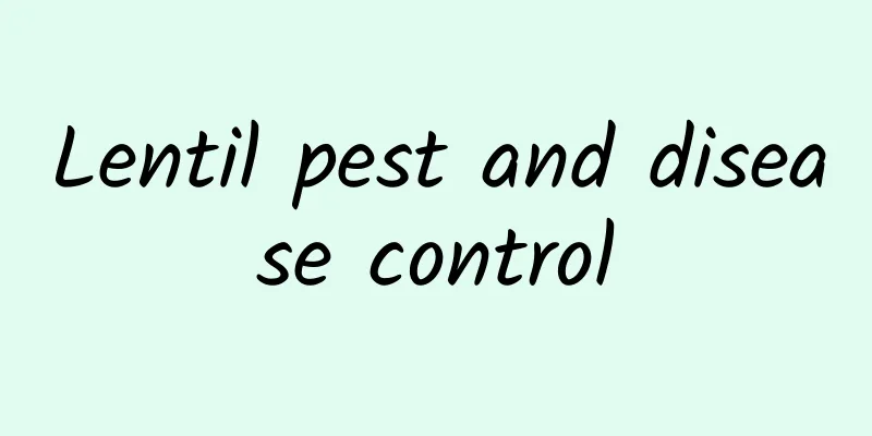 Lentil pest and disease control