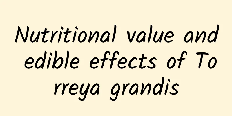 Nutritional value and edible effects of Torreya grandis