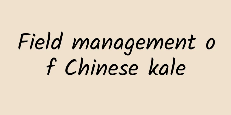 Field management of Chinese kale