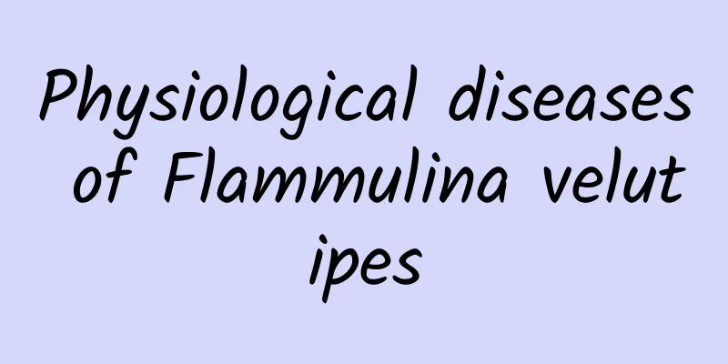 Physiological diseases of Flammulina velutipes