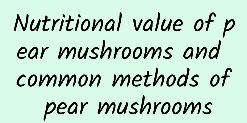 Nutritional value of pear mushrooms and common methods of pear mushrooms