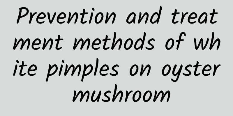 Prevention and treatment methods of white pimples on oyster mushroom