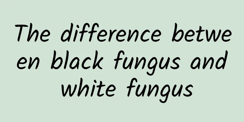 The difference between black fungus and white fungus