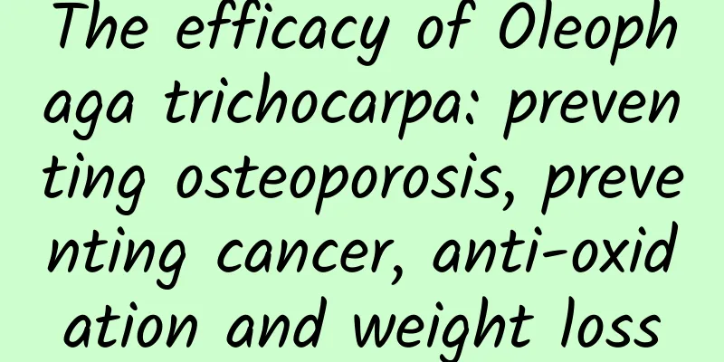 The efficacy of Oleophaga trichocarpa: preventing osteoporosis, preventing cancer, anti-oxidation and weight loss