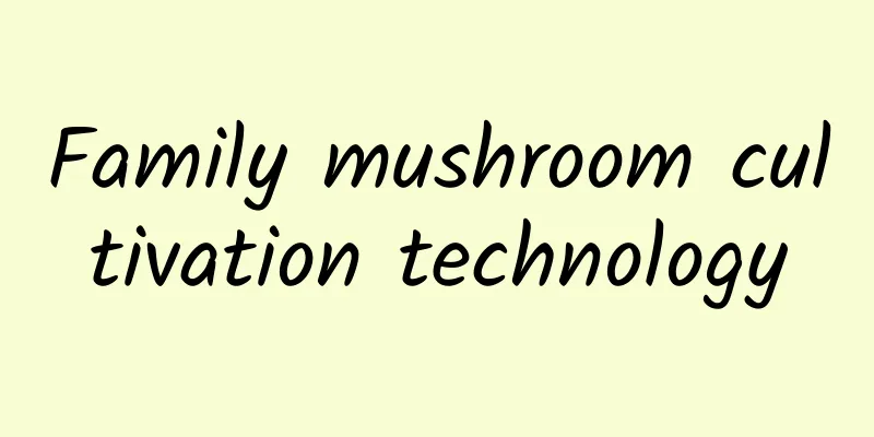 Family mushroom cultivation technology