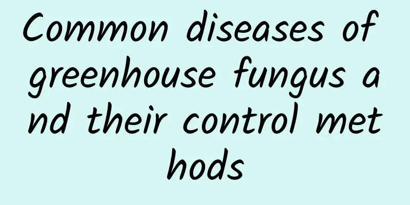 Common diseases of greenhouse fungus and their control methods