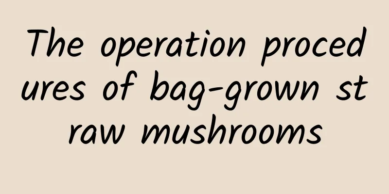 The operation procedures of bag-grown straw mushrooms