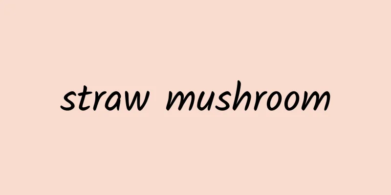 straw mushroom