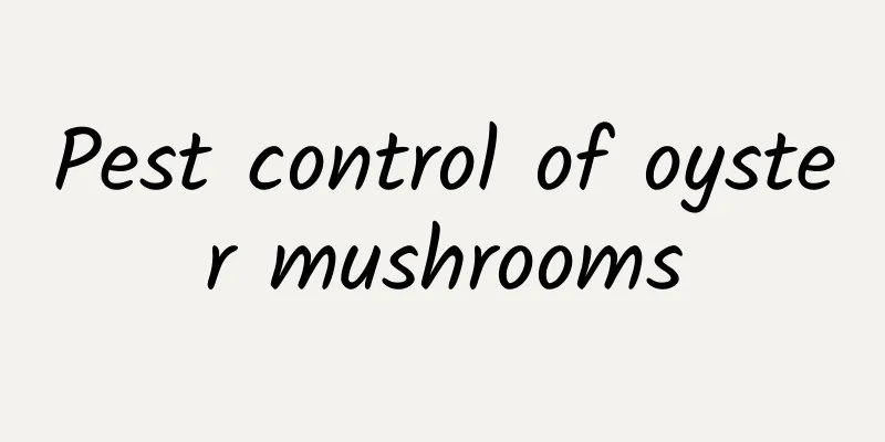 Pest control of oyster mushrooms