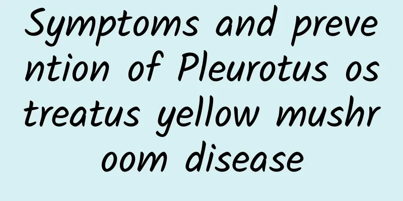 Symptoms and prevention of Pleurotus ostreatus yellow mushroom disease